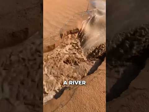 2500 YEAR OLD PROPHECY FULFILLED⁉️🤯#lastdays #prophecy #bible #jesus #supernatural #river #god