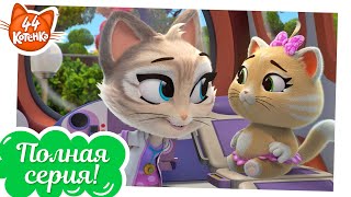 44 Котёнка - Пилу и шатающийся зуб