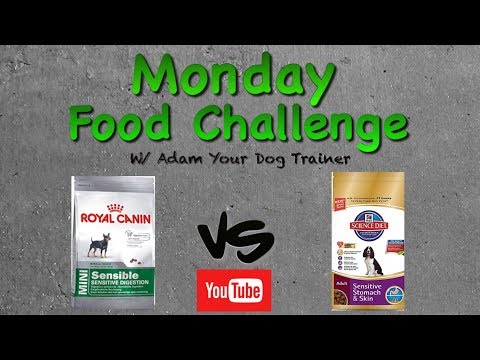 Science Diet vs Royal Canin : Monday Mash-up