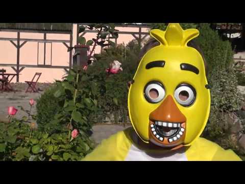 Five Nights at Freddy's Chica Child Costume Video Review