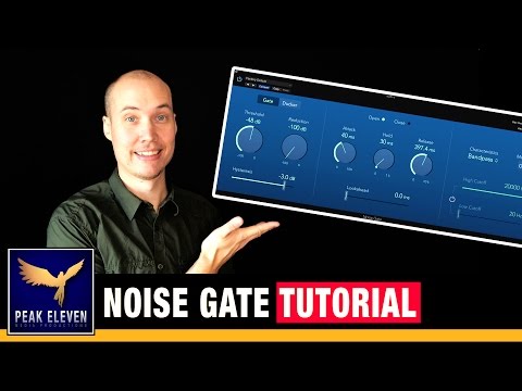 レア 美品 Aphex 105 Logic Assisted Gate Aphex 105 Logic Assisted Gate – Gearwise – AV & Stage Equipment