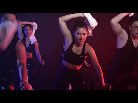 Perigon Co. Version 1