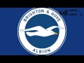 Brighton & Hove Albion F.C. Anthem