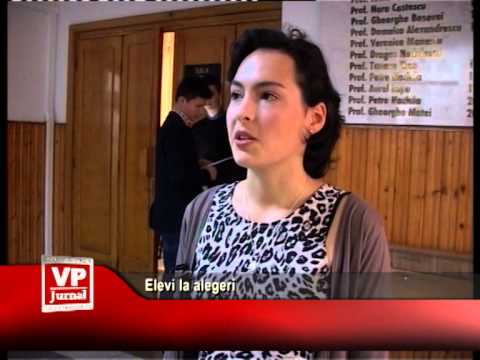 Elevi la alegeri