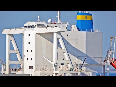 RELAXING 4K SHIPSPOTTING AT PORT OF ROTTERDAM NETHERLANDS AUGUST 2022