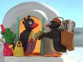 Pingu Pingu And The Daily Igloo