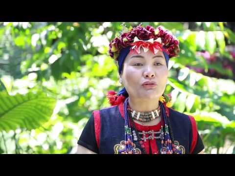 歌謠篇 - 中排灣語 07qalu qalu qalu 合力扛山豬《傳唱篇》