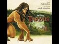 Tarzan Soundtrack- A Wondrous Place (Score)