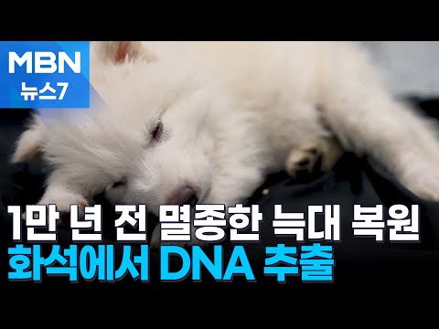 아이콘