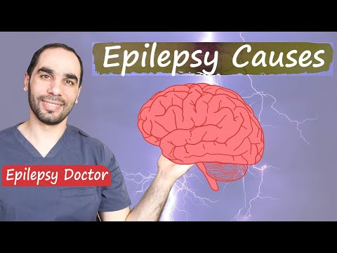 , title : 'What causes Epilepsy and Seizures? Depends on the age'