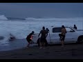 The southerly swell that moved north...