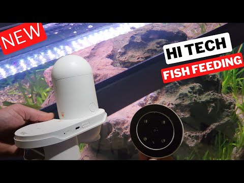 Smart Feeding with Hygger's WiFi Fish Feeder & HD Camera | Aquarium Automation!