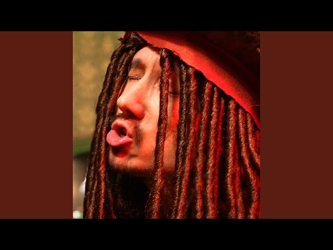 Piraten Style 2.0 (feat. Joon Kim & GReeeN)