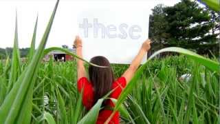 Little Lies by Dave Barnes