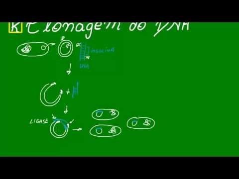 Se ho vermi la prova in linea Analisi su Voronezh helminths