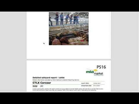 PS16. Analyse marketing information such as sales reports for the product