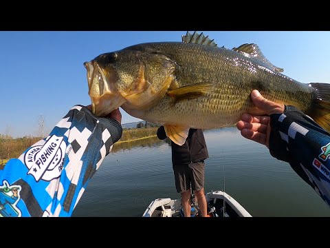 Winter Bass Fishing South Africa for GIANT LARGEMOUTH BASS, Albert Falls.