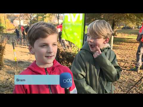 Minibos en groen schoolplein voor CBS De Borg in Haren