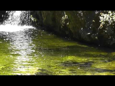 Dorothy Falls, near Lake Kaniere, New Zealand with original music