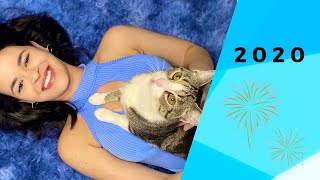 Mensagem de 2020 - Diário Felino