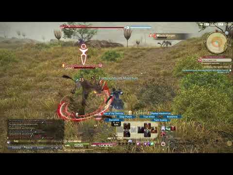 Final Fantasy XIV (14) Class Quest Pugilist Level 20 Keeping the Spirit Alive