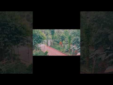 Coorg Resort ek jhalak #subscribe #like #comment #share my YouTube channel please 🙏