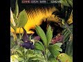 Lonnie Liston Smith - Sunburst