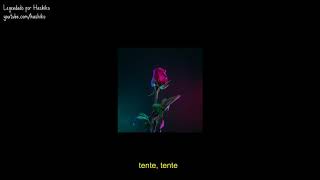 SoMo // Roses  (Legendado-Tradução)