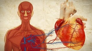 Slightly Disturbing Human Body Facts