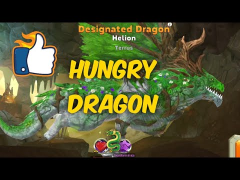 || Hungry Dragon || Tournament | Designated Dragon *HELION TERRUS *