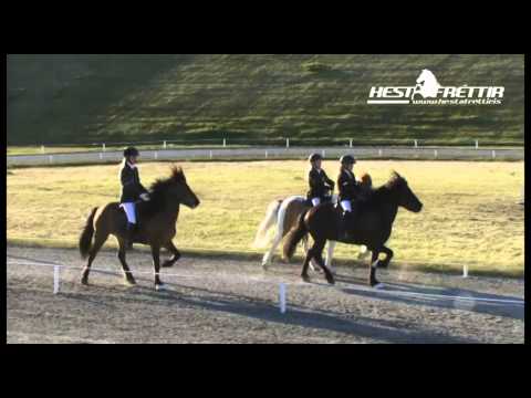 Sprettur 2015 Tölt T7 Barnaflokkur