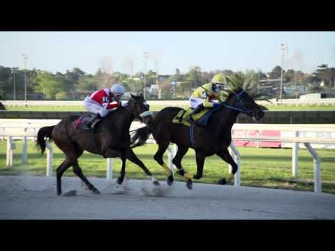 211009 c07 SI SI PARTNER