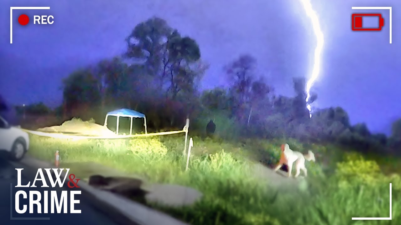 Dog Exposes Owner’s Killer After Horrific Murder