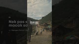 Download lagu Yo Ngono kui Jeneng e Menungso #shorts #storywa #sad #funny mp3