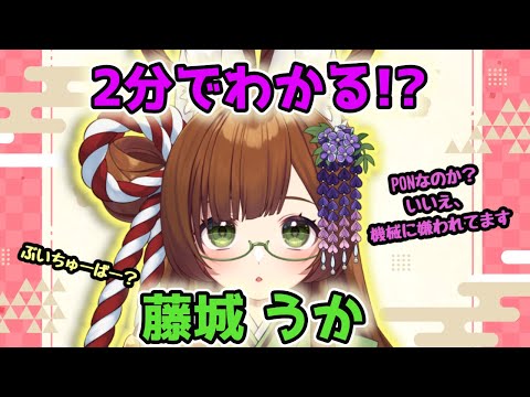 【2分でわかる】藤城うかはこんなやつ