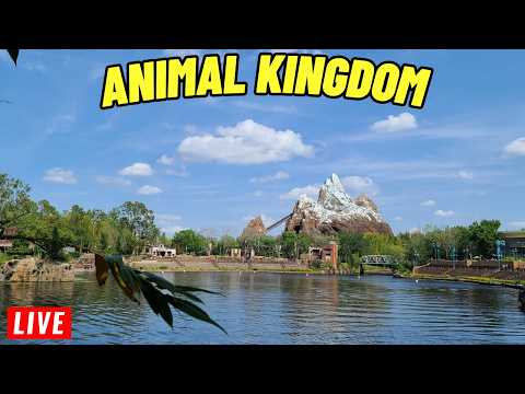 Live webcam of Ron On The Go 