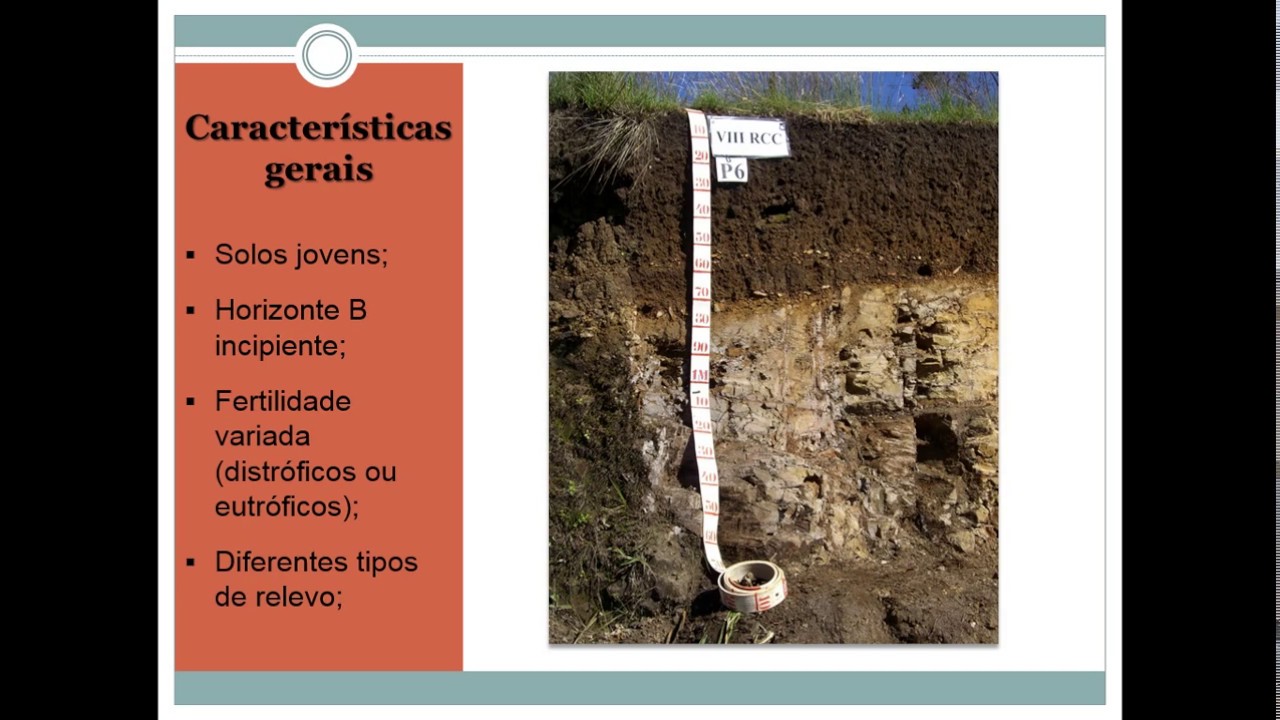 Levantamento e classificação de solos - CAMBISSOLO