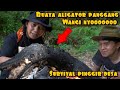 ALLIGATOR GRILLED WITH SAUCE SEASONING FROM THE RESULT OF THE HUNTING