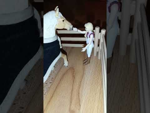 Neues Pferd 🐎 😍 ( Hella Gabbert Steig Auf ! )❤️❤️🐴👍😊 SCHLEICH