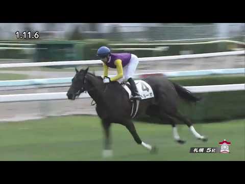 2017 Japan 2YO Newcomer - Beluga (ベルーガ) - 莫雷拉