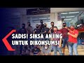 Pelaku Penyiksa Anjing Di Bali Ditangkap