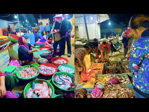 NIGHT MARKET Ever Seen Largest Fish Distribution in Cambodia - Fish Market and People Activities