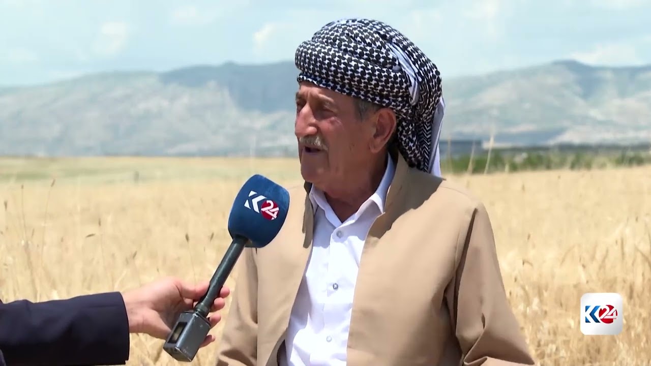 ڤیدیۆ | وەرزی دروێنەی گەنم لە هەرێمی كوردستان نزیكبووەتەوە