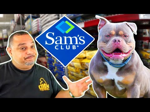 Best Dog Food In Sam's Club | American Bully
