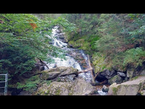 Faszination Bayerischer Wald - Interessante Wandertouren