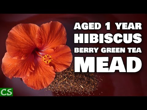 Hibiscus Berry Green Tea Mead One Year Tasting