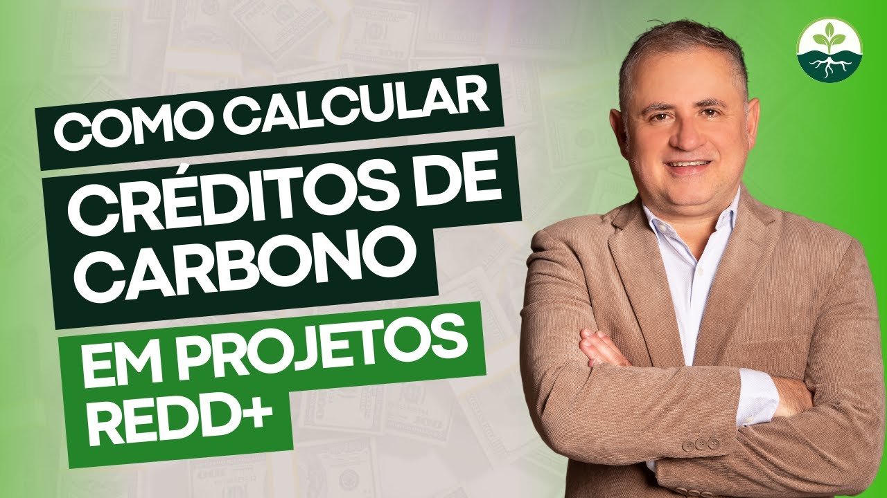 Como calcular Créditos de Carbono em projetos REDD+