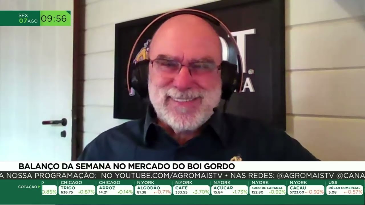 Scot Consultoria faz balanço da semana do mercado do boi gordo