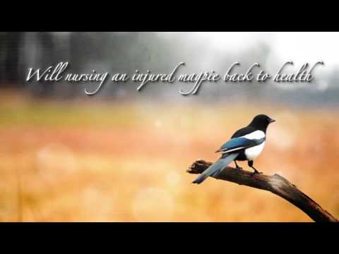 A Terrifying Bike Ride and a Clue to the Missing Girl by Greta Kay