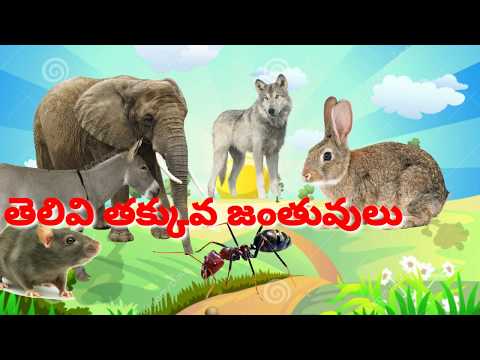 Telivi Takkuva Janthuvulu Story/తెలివి తక్కువ జంతువులు కథ/ Telugu Stories For Kids.
